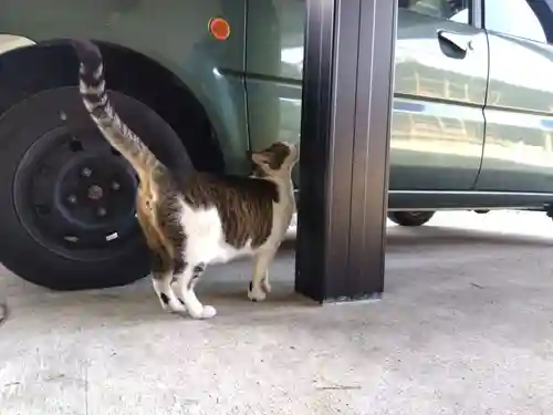 正覚寺(福井県)