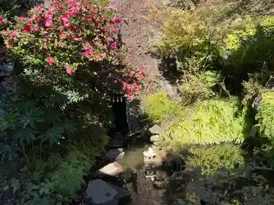 大綱金刀比羅神社(神奈川県)