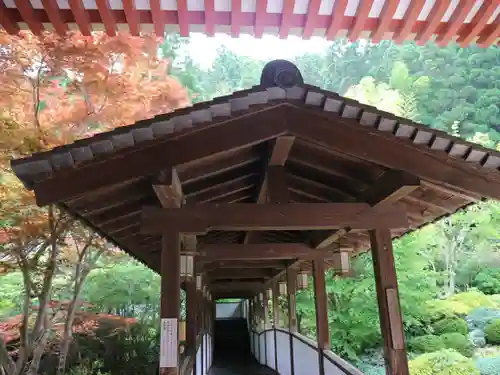 久安寺のその他建物