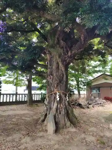 宗道神社(茨城県)