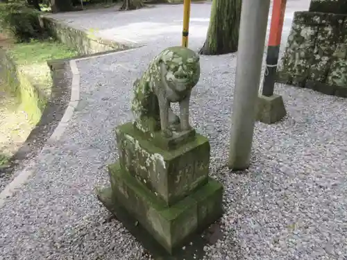 間々田八幡宮の狛犬