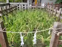 御作田社の自然