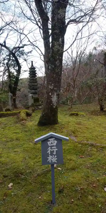 勝持寺(花の寺)の自然