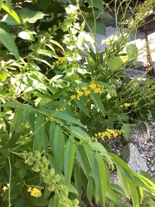 三輪神社の自然