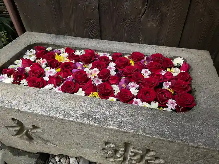 菅生神社の手水舎