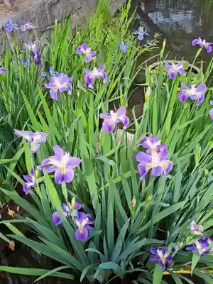 津島神社(愛知県)
