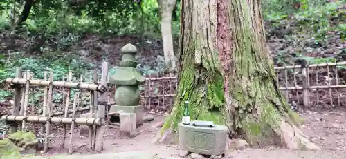 傑山寺のお墓