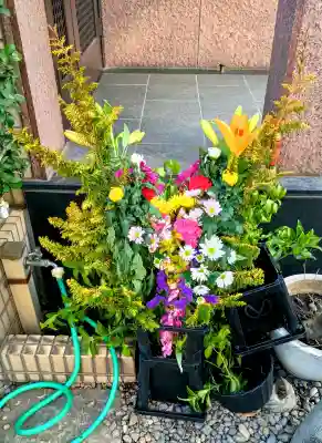 成就院の{uncategorized: "未分類", other: "その他", undefined: "問題あり", building: "その他建物", grave: "お墓", sacred_gate: "鳥居", guardian: "狛犬", statue: "像", buddha: "仏像", history: "歴史", nature: "自然", garden: "庭園", animal: "動物", pagoda: "塔", temizu: "手水舎", mountain_gate: "山門・神門", sanctuary: "本殿・本堂", subordinate: "末社・摂社", art: "芸術", scenery: "景色", jizo: "地蔵", ema: "絵馬", goshuin: "御朱印", omikuji: "おみくじ", items: "授与品その他", amulet: "お守り", goshuincho: "御朱印帳", eats: "食事", festival: "お祭り", votive_dance: "神楽", shichigosan: "七五三参", wedding: "結婚式", experience: "体験その他", initially: "初詣", around: "周辺", anti_infection: "感染症対策"}