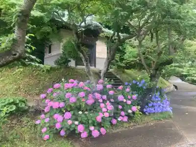 大長寺(神奈川県)