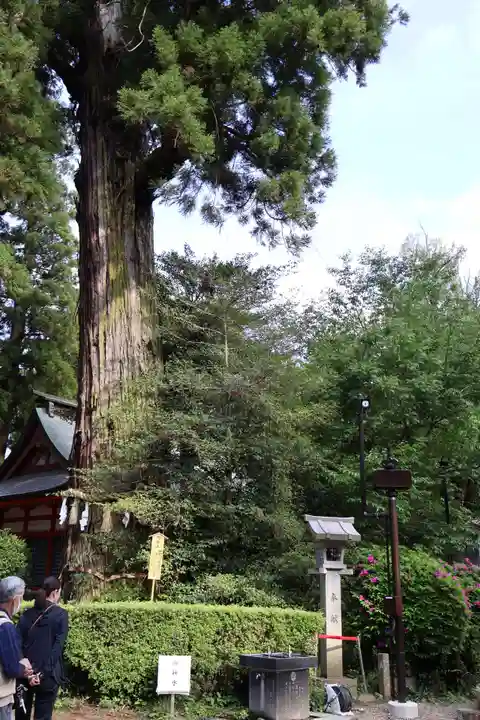 香取神宮(千葉県)