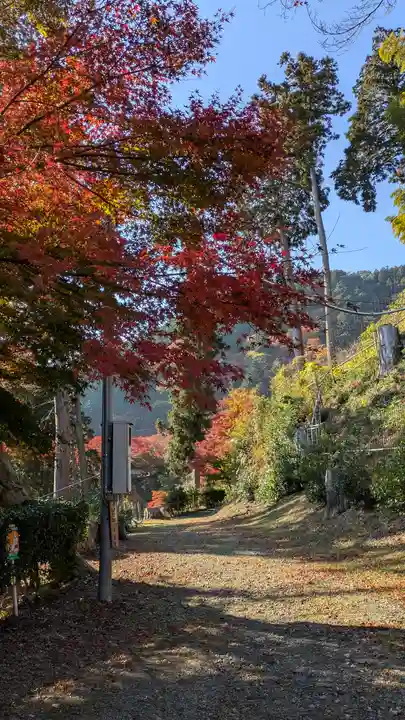 三鈷寺(京都府)