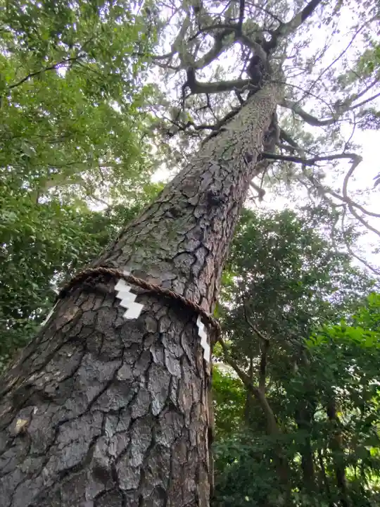 第六天神社(神奈川県)