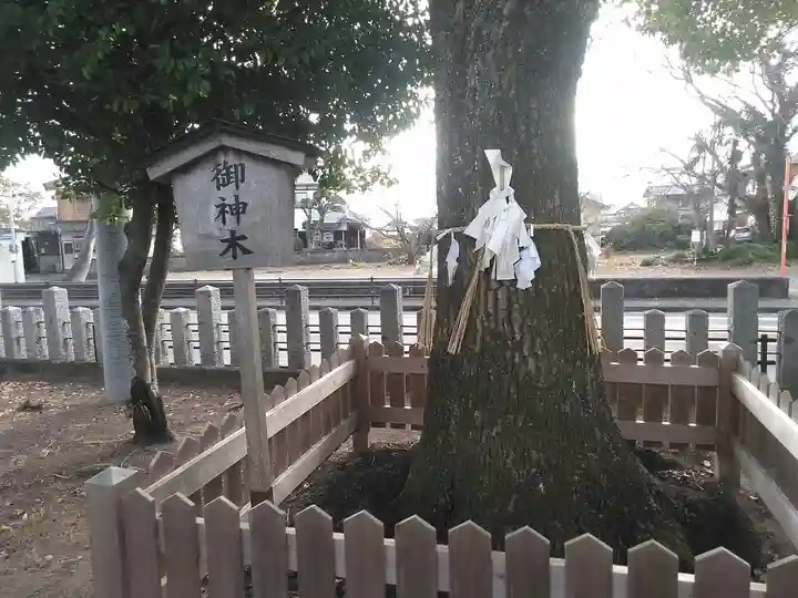 貴船神社の自然