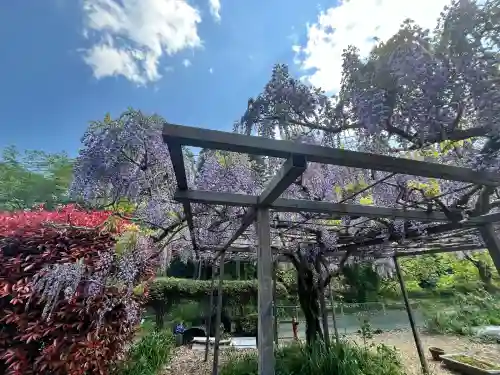 天台宗 五大山 白毫寺(兵庫県)