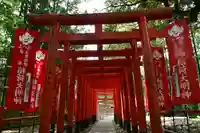 大杉神社(茨城県)