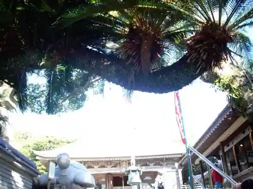 金剛福寺のその他建物