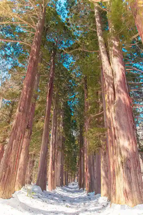 戸隠神社奥社(長野県)