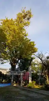 半田稲荷神社(東京都)
