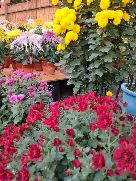 津島神社の自然