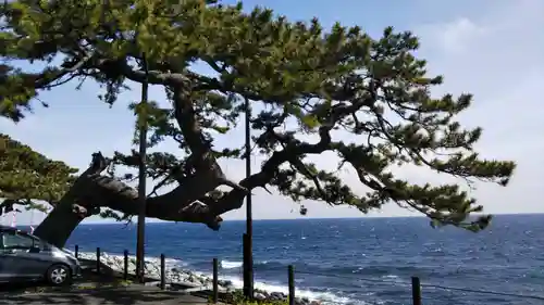 素盞嗚神社の周辺