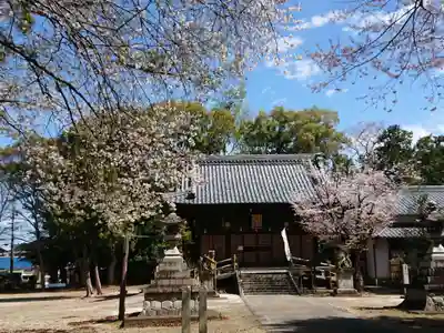 大平八幡宮の本殿・本堂