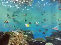 白狐山光星寺(山形県)