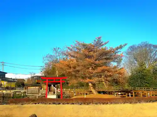 大弁財天女(宮城県)