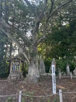 温泉神社(岩手県)