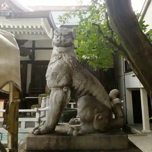 鳥越神社の狛犬