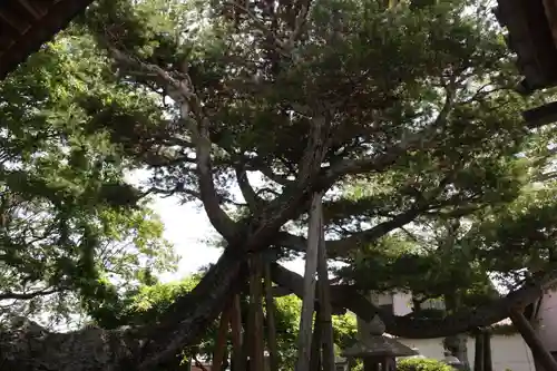 稱名寺(滋賀県)