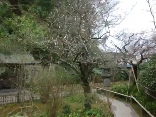 安國論寺（安国論寺）の庭園