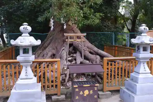 和泉國一之宮　大鳥大社(大阪府)