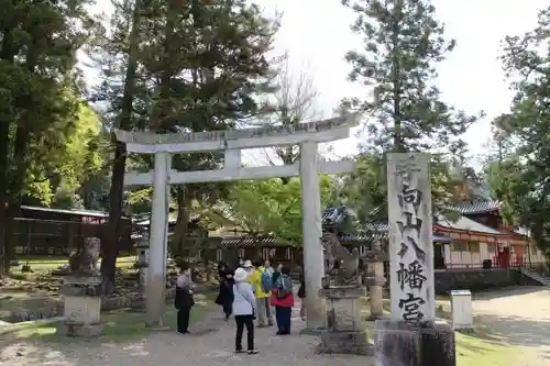 手向山八幡宮の鳥居