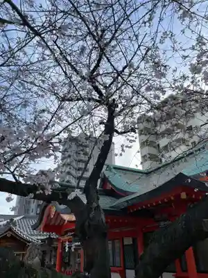兵庫嚴島神社(兵庫県)