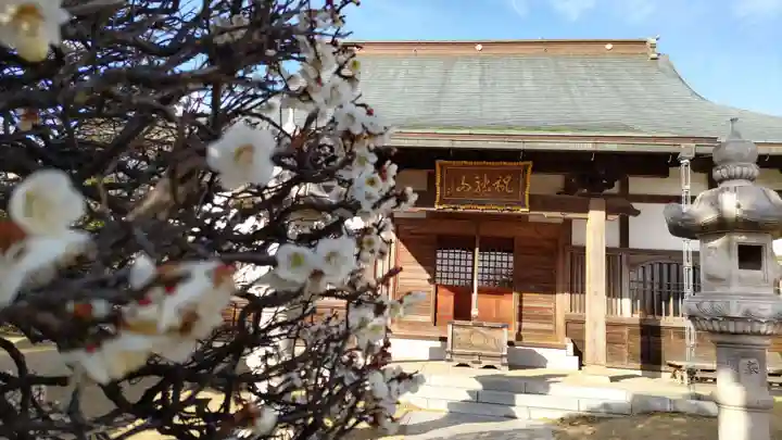 法岩院の本殿・本堂