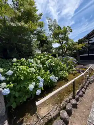 妙覺寺（妙覚寺）(京都府)