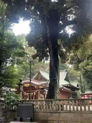 岩槻久伊豆神社(埼玉県)