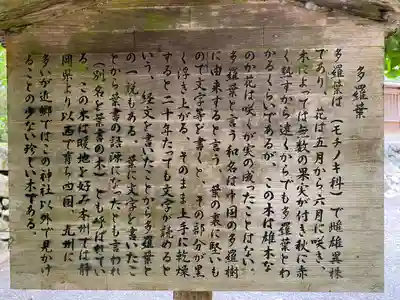 丹生川上神社（下社）(奈良県)