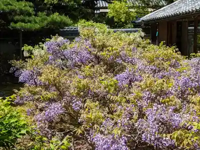 長慶院(京都府)