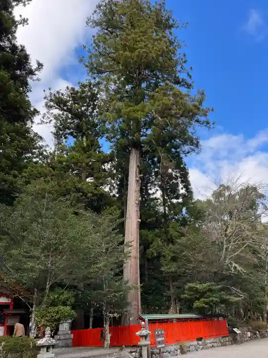 北畠神社(三重県)