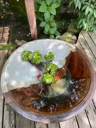 明月院(神奈川県)