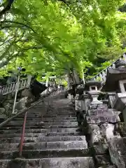 阿賀神社の建物その他