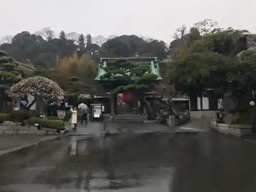 長谷寺の{uncategorized: "未分類", other: "その他", undefined: "問題あり", building: "その他建物", grave: "お墓", sacred_gate: "鳥居", guardian: "狛犬", statue: "像", buddha: "仏像", history: "歴史", nature: "自然", garden: "庭園", animal: "動物", pagoda: "塔", temizu: "手水舎", mountain_gate: "山門・神門", sanctuary: "本殿・本堂", subordinate: "末社・摂社", art: "芸術", scenery: "景色", jizo: "地蔵", ema: "絵馬", goshuin: "御朱印", omikuji: "おみくじ", items: "授与品その他", amulet: "お守り", goshuincho: "御朱印帳", eats: "食事", festival: "お祭り", votive_dance: "神楽", shichigosan: "七五三参", wedding: "結婚式", experience: "体験その他", initially: "初詣", around: "周辺", anti_infection: "感染症対策"}