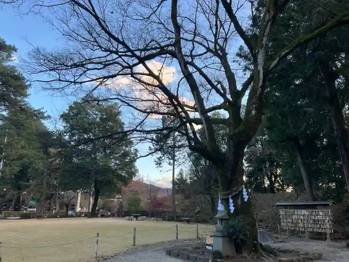 武田神社の自然