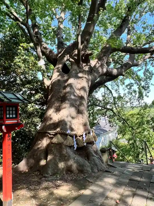 常陸第三宮 吉田神社(茨城県)