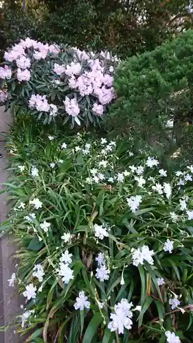 高千穂神社の自然