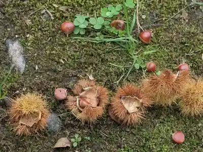 小澤神社(北海道)