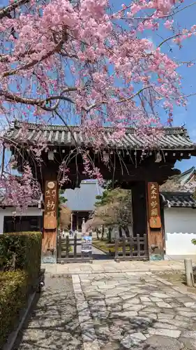 妙顯寺（妙顕寺）の山門