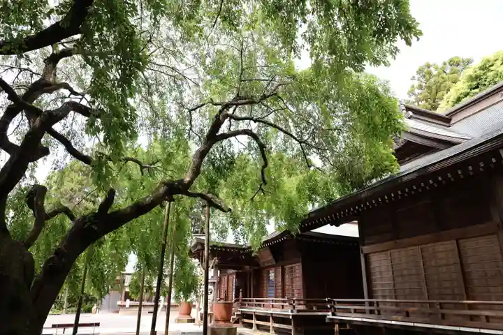 常陸第三宮 吉田神社(茨城県)