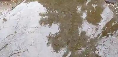 増上寺のその他建物